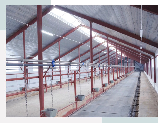 Строительство коровников в Михайловке от 610 руб.