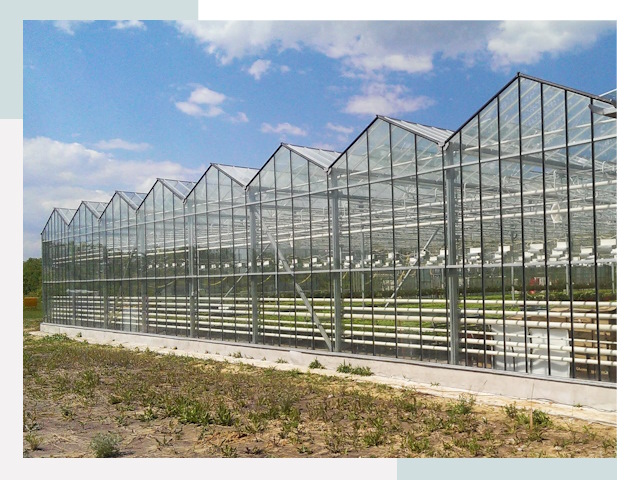 Строительство теплиц в Михайловка от 610 руб. за м²