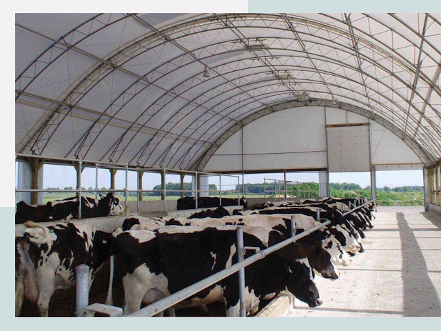 Тентовые коровники в Михайловке